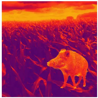 LIEMKE KEILER 1 Fascination Thermal Imaging - FASCINATION