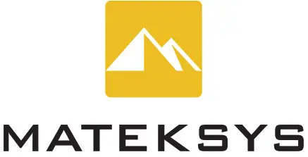 MATEKSYS F405-WSE Wing flight -- logo