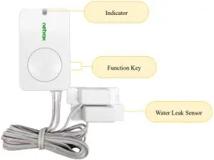 netvox R311W Wireless 2-Gang Water Leak Detector - Appearance