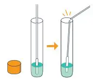 amazon On-Site COVID-19 Test Collection Kit Instructions - Place swab into the tube