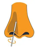 amazon On-Site COVID-19 Test Collection Kit Instructions - Repeat in other nostril