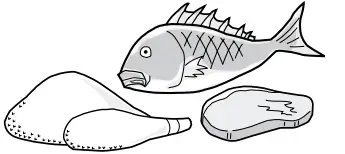 Westinghouse WRB3504S Single Door Refrigerator - fish