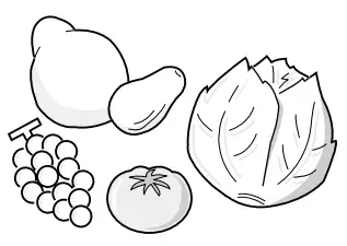 Westinghouse WRB3504S Single Door Refrigerator - vegetables