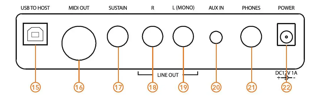 Gear4music-SDP-3-Digital-Stage-Piano-2