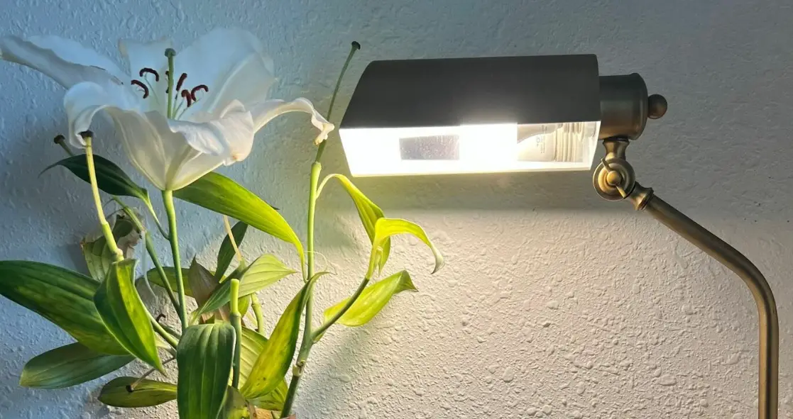 Visual Comfort Tob 1102 Eton Small Pharmacy Floor Lamp User Manual