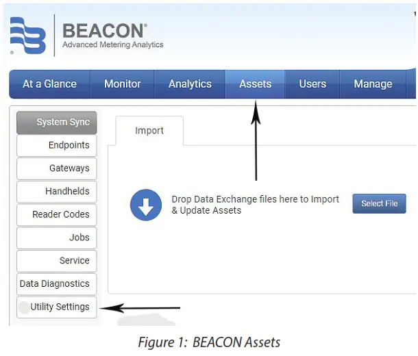 Badger Meter E-Series G2 Ultrasonic Meter - BEACON FIRST TIME SETUP