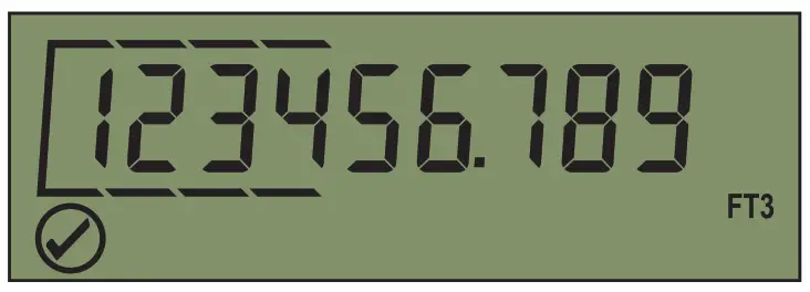 Badger Meter E-Series G2 Ultrasonic Meter - Cubic Feet
