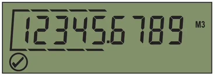 Badger Meter E-Series G2 Ultrasonic Meter - Cubic Meters