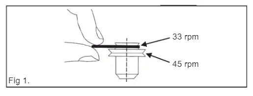 FLEXSON FLXVP1011US VinylPlay Digital Turntable-1