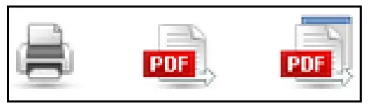 ALTAIR Monarch Report Mining Edition Server - Fig5