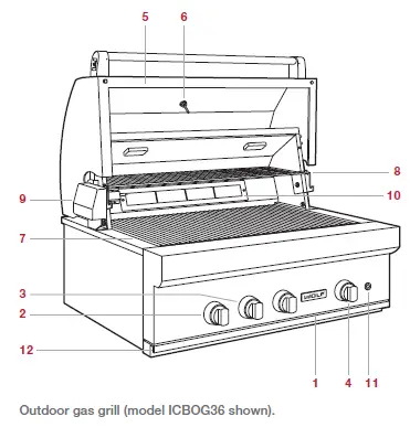 WOLF-42-Inch-Outdoor-Gas-Grill-FIG-1
