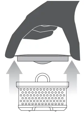 Sage BTM700 Tea Maker Compact - Place the tea basket