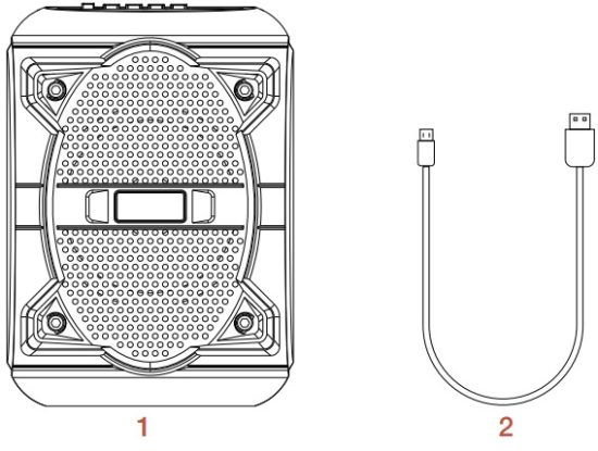 QUIKCELL ZQS1419 Wireless Party Speaker- WHAT’S INSIDE