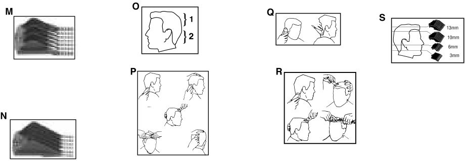 Wahl Clipper - Overview 2
