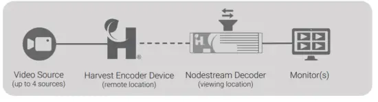 Harvest Nodestream Quad Decoder - audio