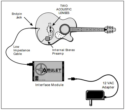 TRANCE-AUDIO-Amulet-True-Stereo-Guitar-Pickup-System-fig-1