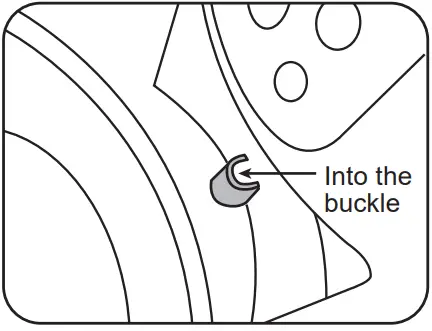 PAKEWAY-PKY-21BF02S-Automatic-Pet-Feeder-6
