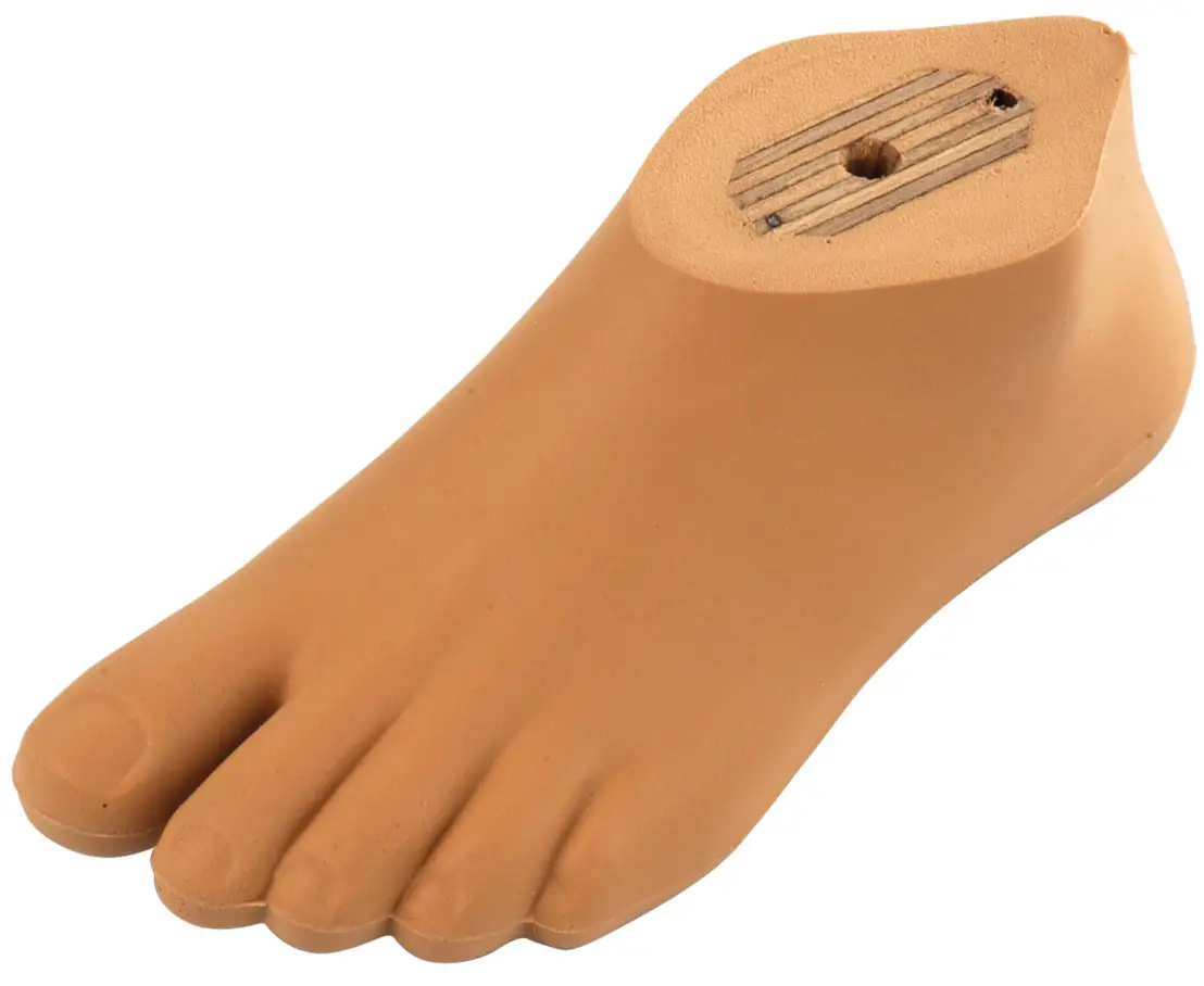 ottobock 1K10, 1K30, 1S30 Dynamic Foot for Children