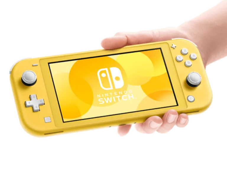 Nintecdo Switch/switch Lite Instruction Manual