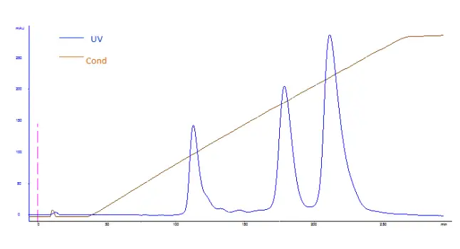 BESTCHROM Q Bestarose FF Strong Anion Exchange Resin - Fig