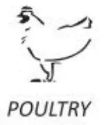 Polder Deluxe Safe-Serve Instant Read Thermometer -hand