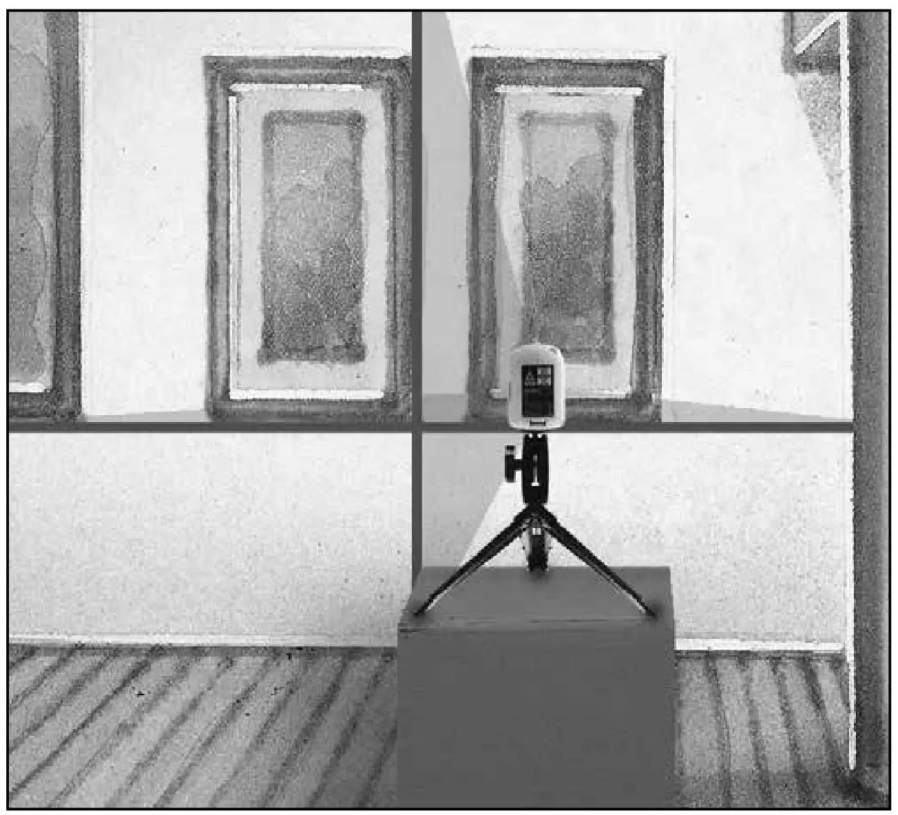 Laserliner 081.115A SmartCross Laser - Overview