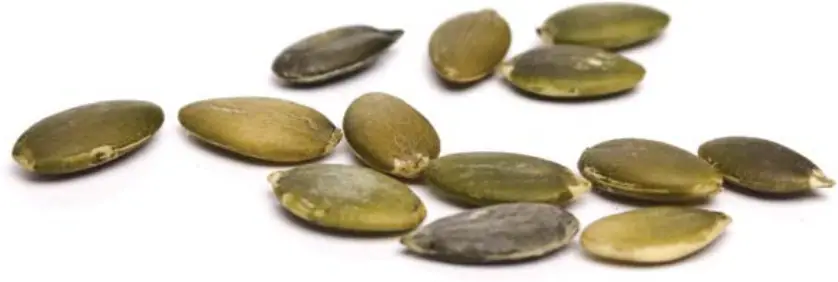 BioChef KT-DE-BC-6T-BL-AU Tray Food Dehydrator 2