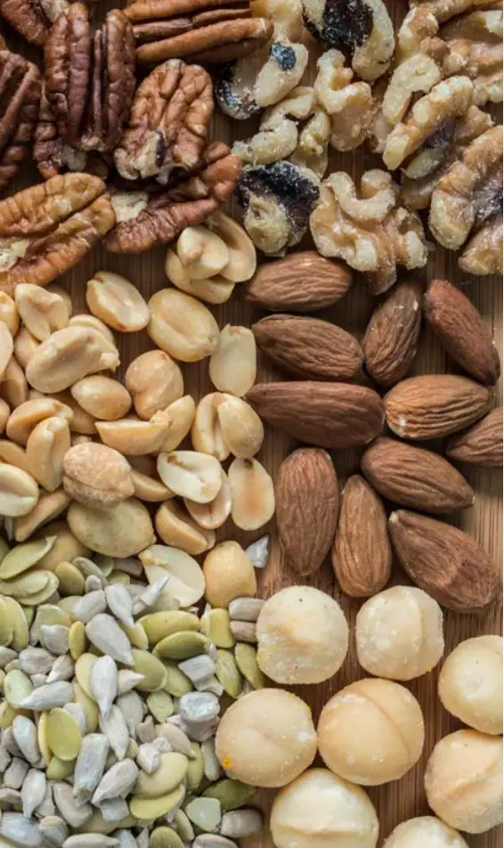 BioChef KT-DE-BC-6T-BL-AU Tray Food Dehydrator 6