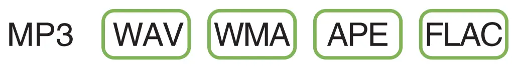 WinBridge T9 Portable PA Machine - fig 12