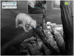 Rangefinder interface