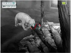 Compass calibration interface