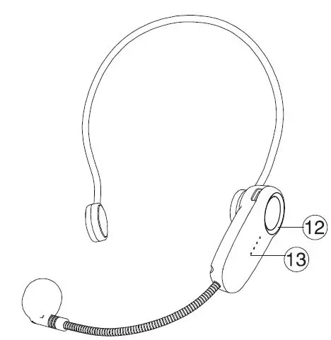 WinBridge-S388-Voice-Amplifier-fig2
