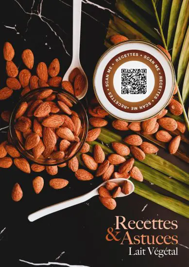 H Koenig naty210 Plant Milk Maker -1