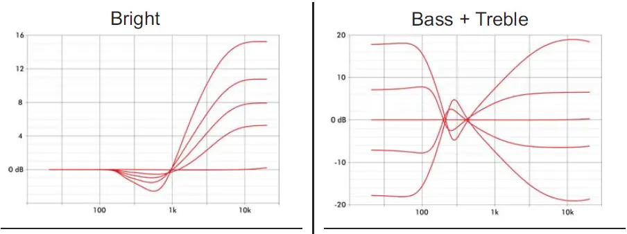 EBS Reidmar 502 Professional Bass Head 1