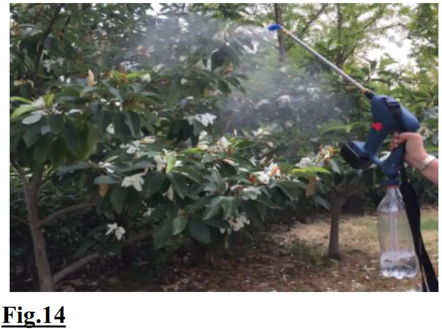 Saintge Portable Power Sprayer -- Fig-14