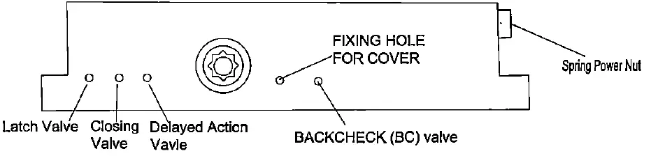 Pamex GC5900 Series door closer-7