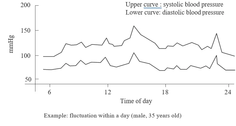 Joytech Healthcare BM 92 Arm Type Fully Automatic Digital Blood Pressure Monitor 31