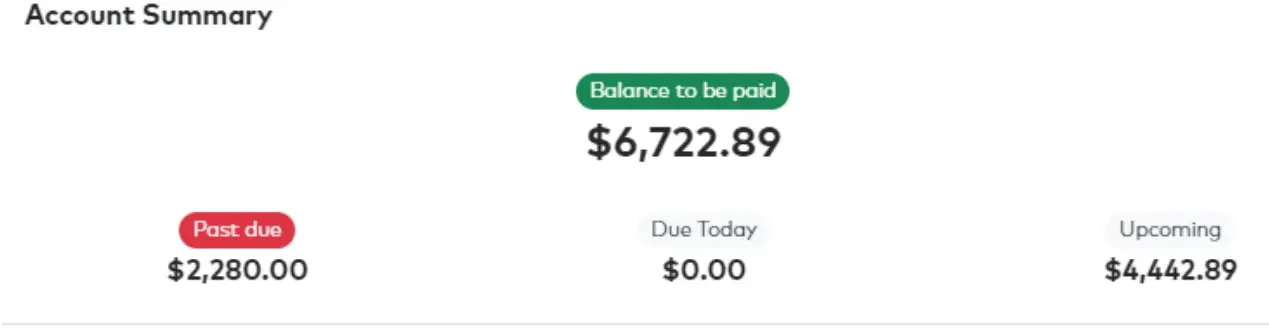 paya CLICK2PAY Web Usage-fig11