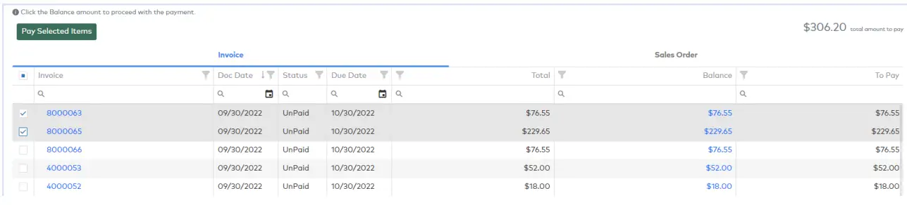 paya CLICK2PAY Web Usage-fig21