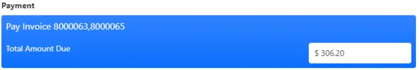 paya CLICK2PAY Web Usage-fig24