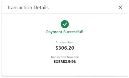 paya CLICK2PAY Web Usage-fig29