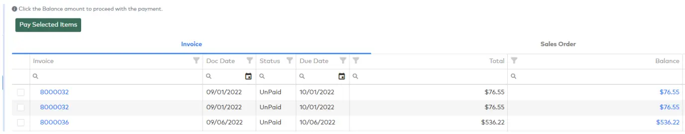 paya CLICK2PAY Web Usage-fig6