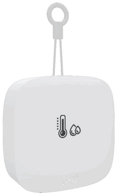 CORA CS1060 Temperature and Humidity Sensor -