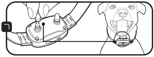 DOG-CARE-TCO5-Dog-Training-System-fig-20