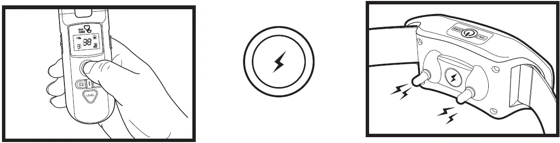 DOG-CARE-TCO5-Dog-Training-System-fig-23