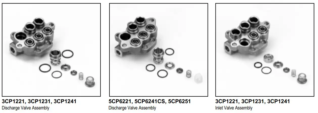 CAT PUMPS 5CP6221 CP SS Plunger Pump-