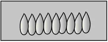 PITT COOKING 6142 Akan Gas Hob - Soft Blue