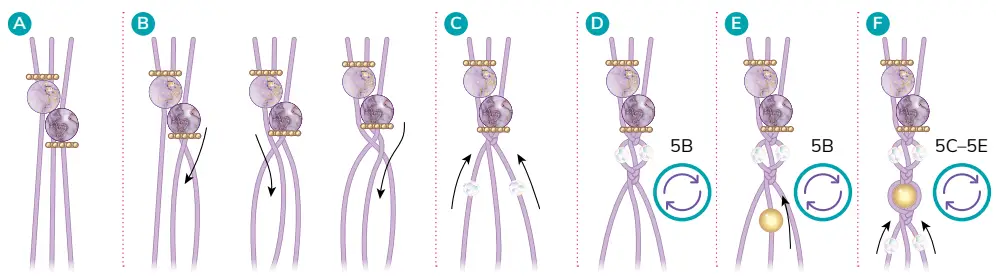make-it-real-1322-Celestial-Stones-Bracelets-fig-14