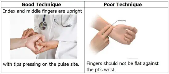 FIG 3 PULSE