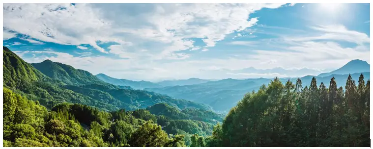 epson Sustainability Management